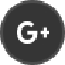 gallery/skin-frontend-digital-digitalreadouts-images-goole_icon